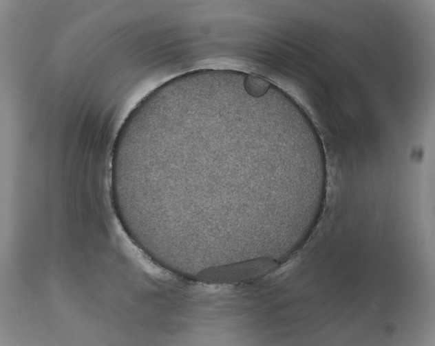 X0000112531040200909141242