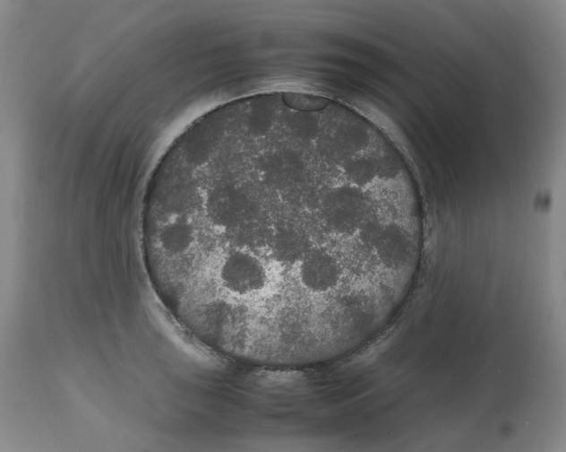 X0000112531043200909141242