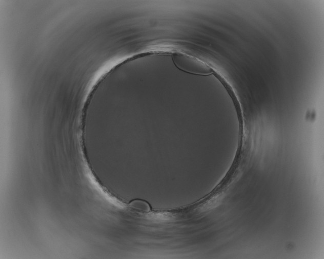 X0000112531045200909141242