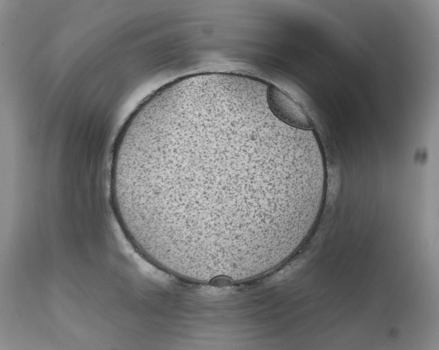 X0000112531046200909141242