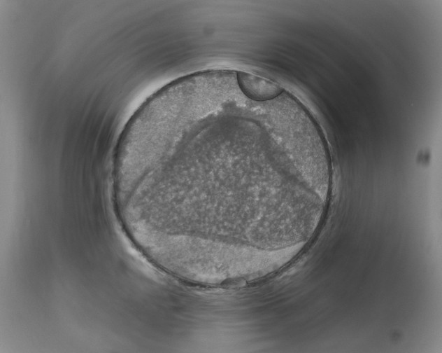 X0000112531048200909141242