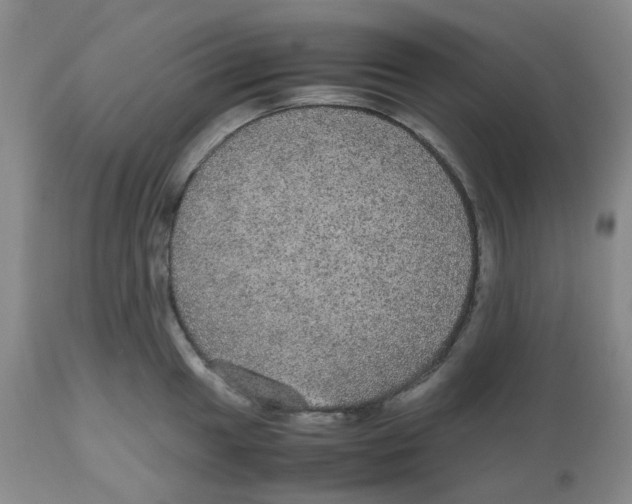 X0000112531049200909141242