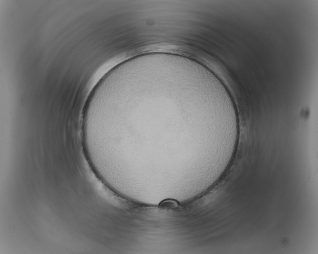 X0000112531050200909141242