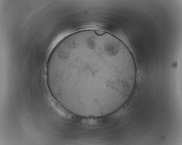 X0000112531051200909141242