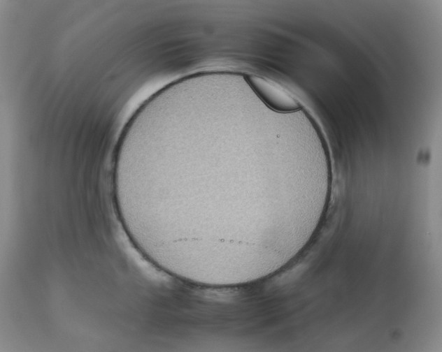 X0000112531053200909141242