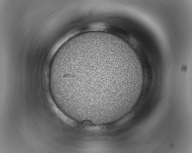 X0000112531054200909141242