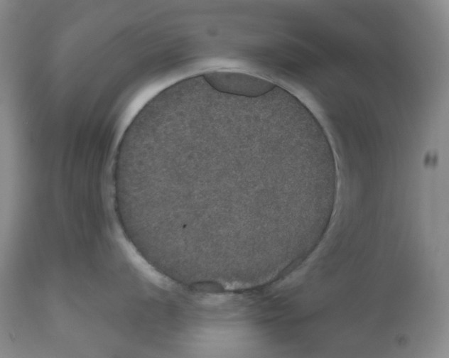 X0000112531056200909141242