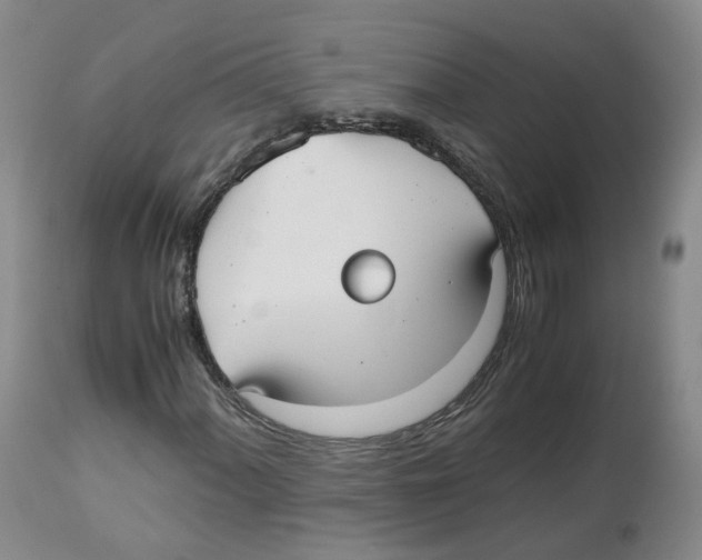 X0000112531060200909141241