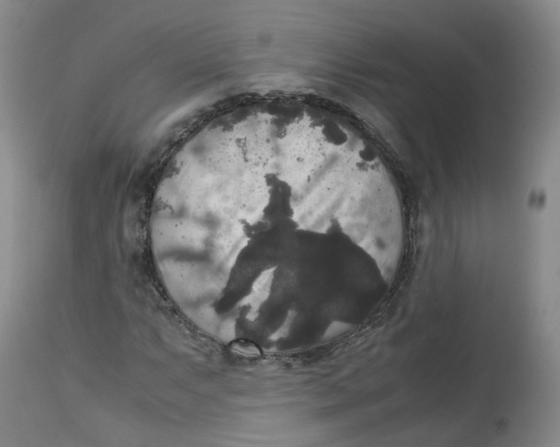 X0000112531063200909141241