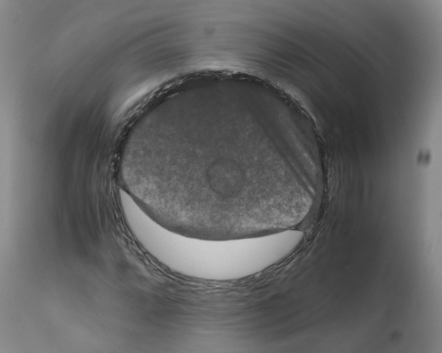 X0000112531064200909141241