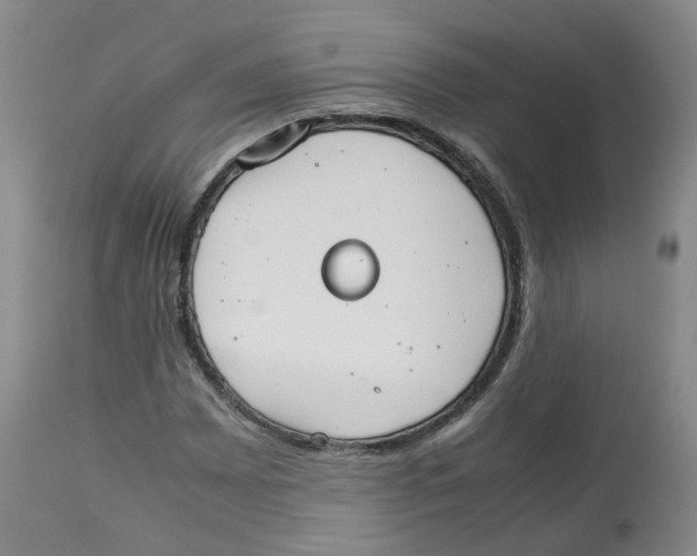 X0000112531065200909141241