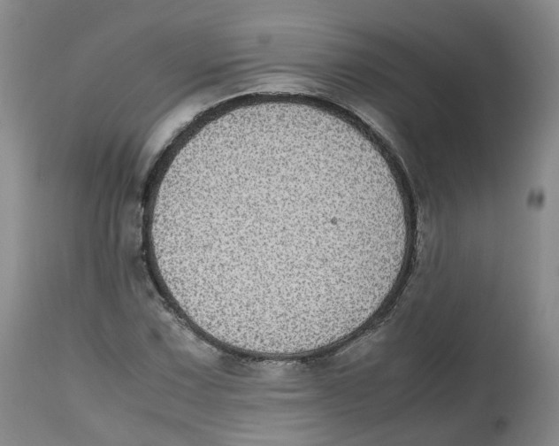 X0000112531067200909141241