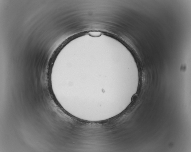 X0000112531068200909141241