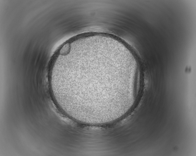 X0000112531070200909141241