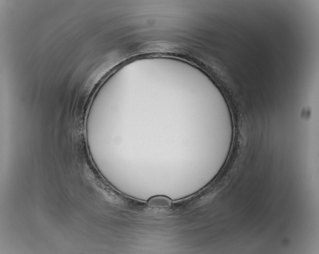 X0000112531073200909141241