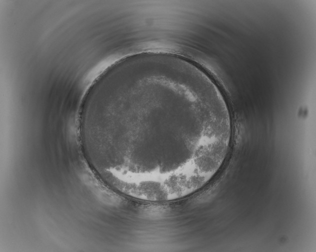 X0000112531074200909141241