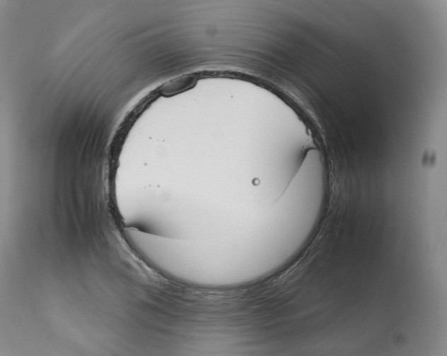 X0000112531076200909141241