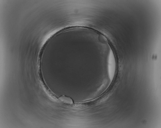 X0000112531077200909141241