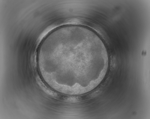 X0000112531078200909141241