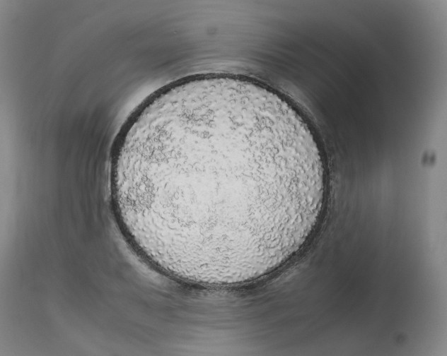 X0000112531079200909141241