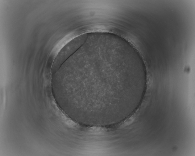 X0000112531081200909141241