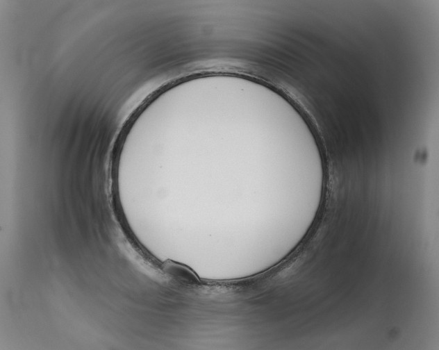 X0000112531082200909141241