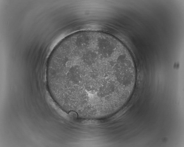 X0000112531083200909141241