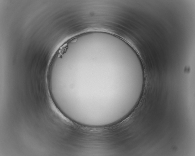 X0000112531084200909141241