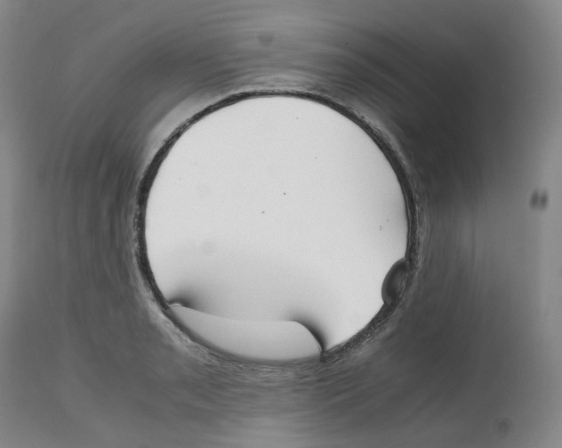 X0000112531085200909141241