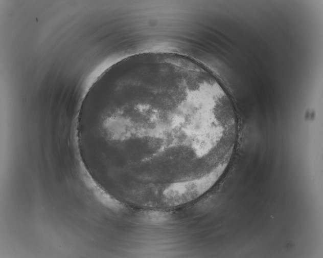 X0000112531086200909141241