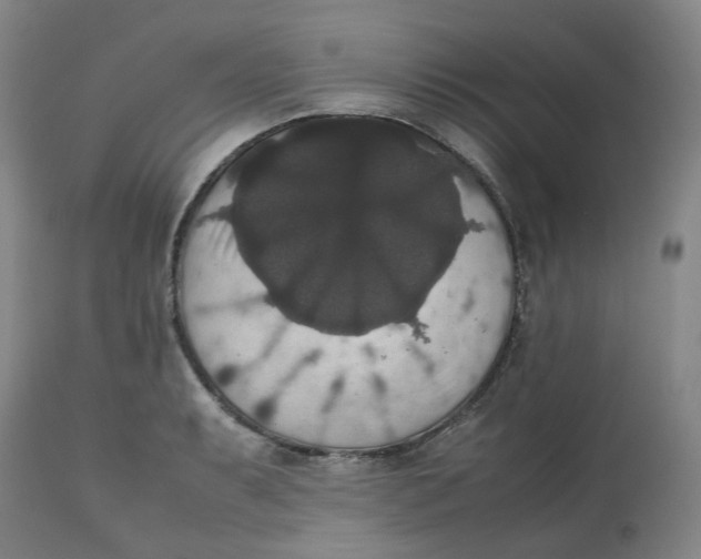 X0000112531087200909141241