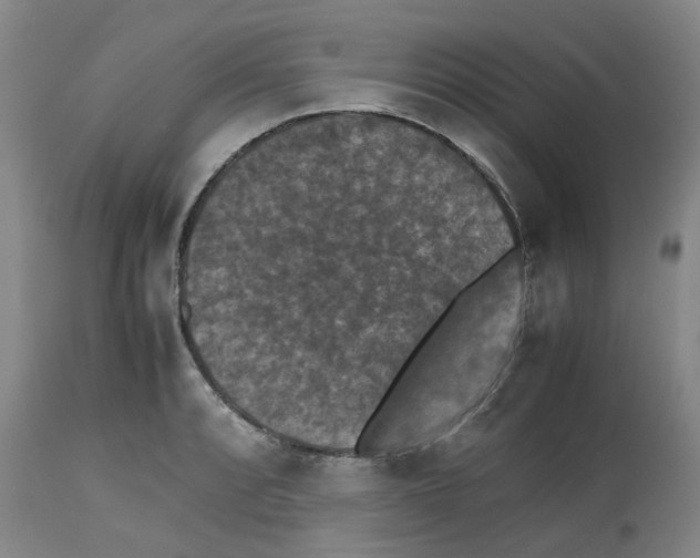 X0000112531088200909141241