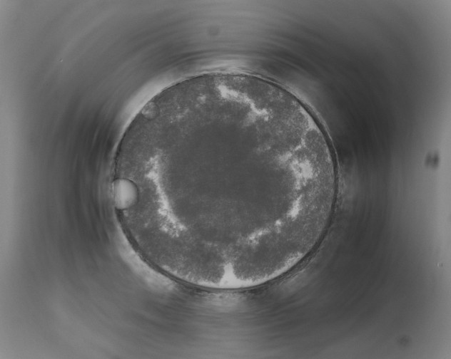 X0000112531090200909141241