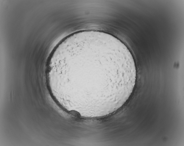 X0000112531091200909141241