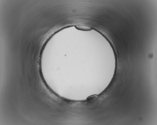 X0000112531093200909141241