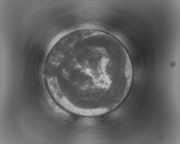 X0000112531094200909141241