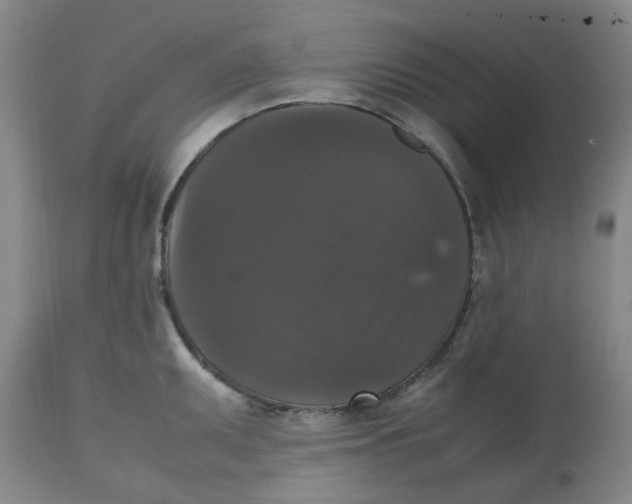 X0000112531095200909141241