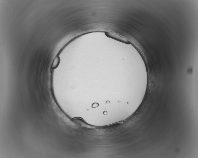 X0000112531096200909141241