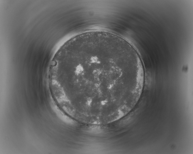 X0000112531098200909141241