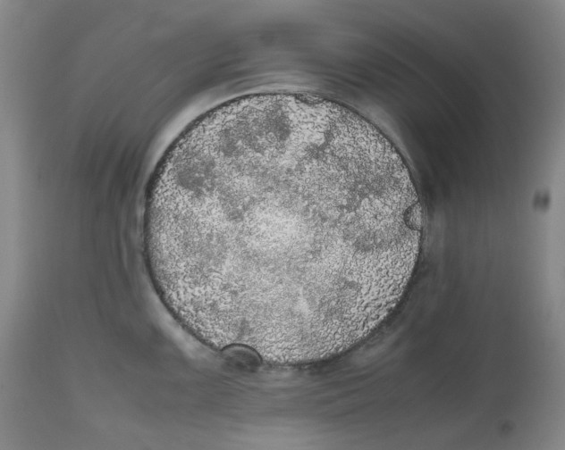 X0000112531099200909141241