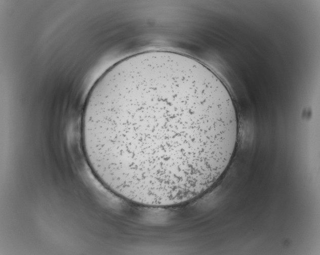 X0000112531100200909141241