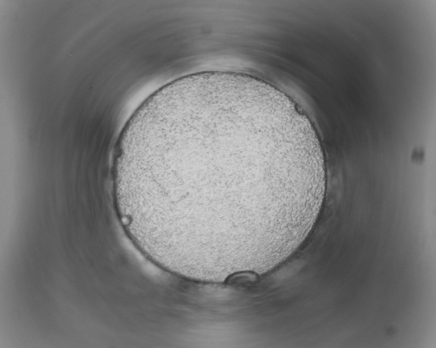 X0000112531103200909141241