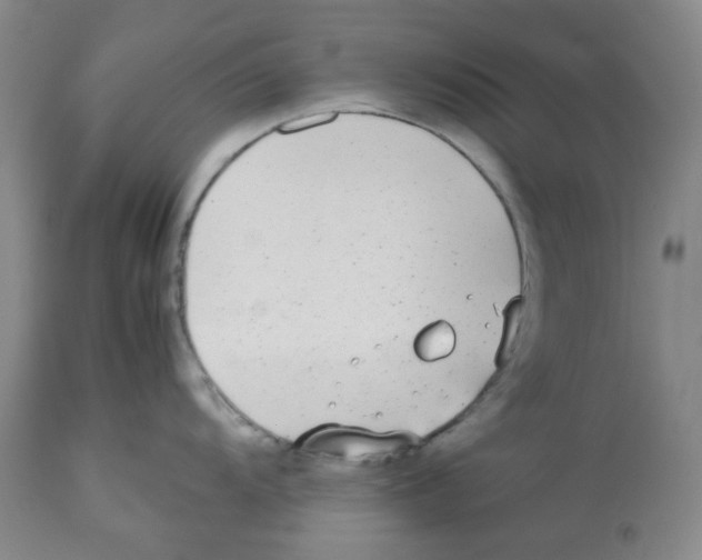 X0000112531104200909141241