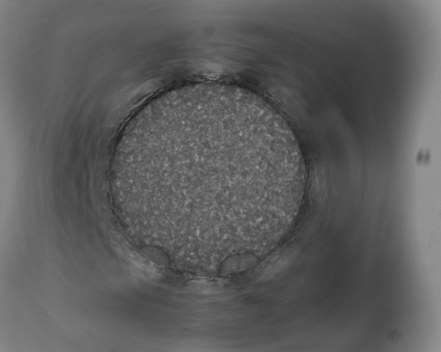 X0000112531105200909141240