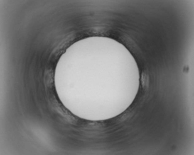 X0000112531107200909141240