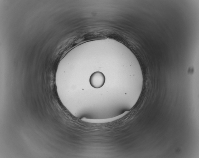 X0000112531108200909141240