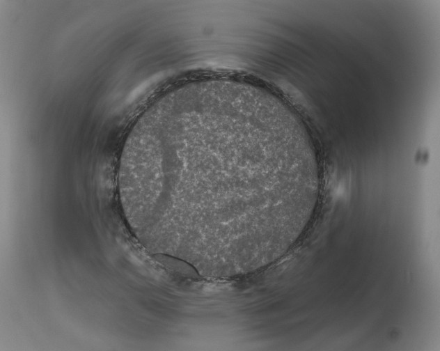 X0000112531110200909141240