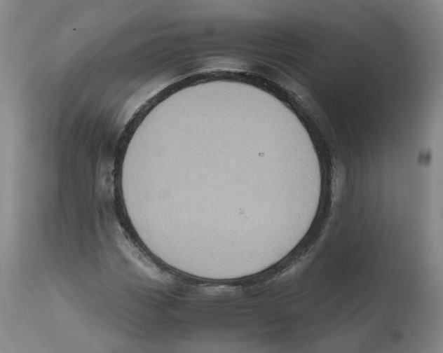 X0000112531113200909141240