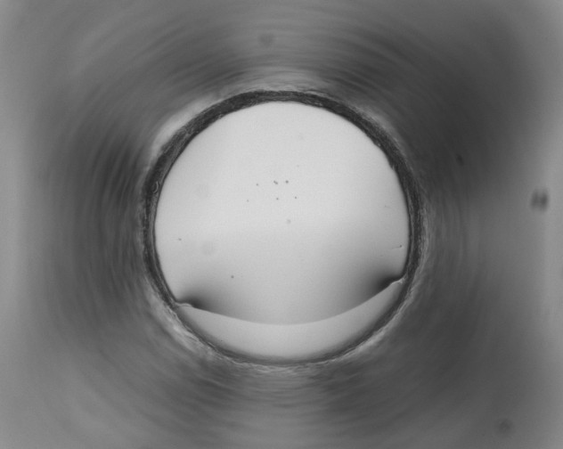 X0000112531114200909141240