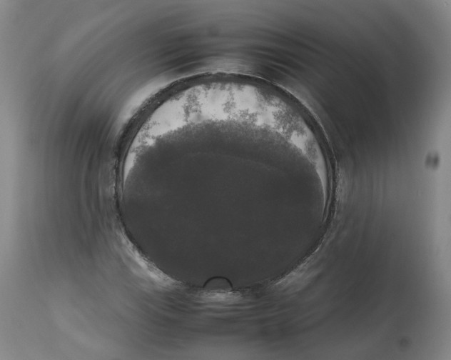 X0000112531115200909141240